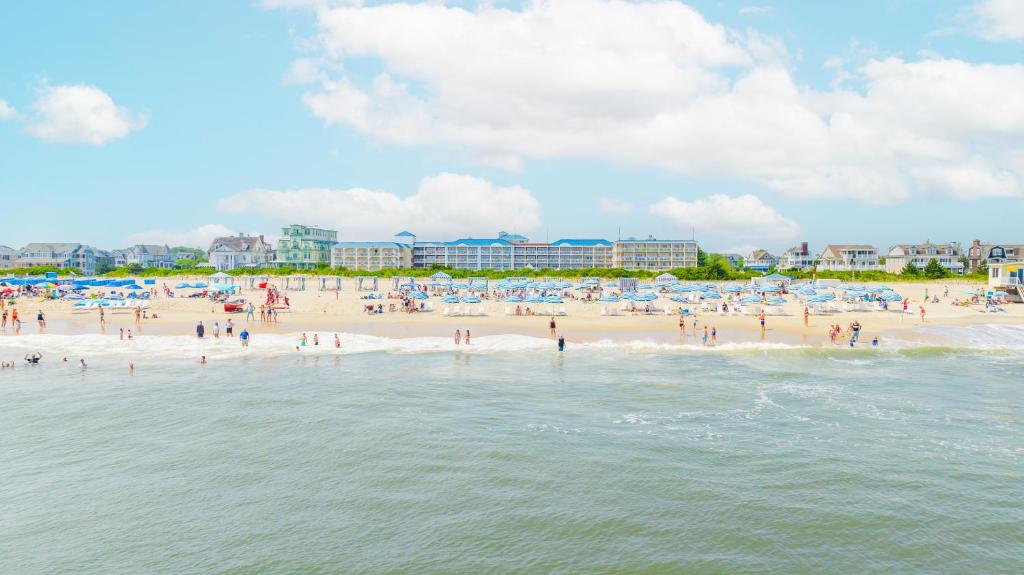 Image of La Mer Beachfront Resort